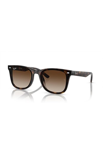 Ray-Ban 0Rb 4420 710/13 65 Unisex Sunglasses