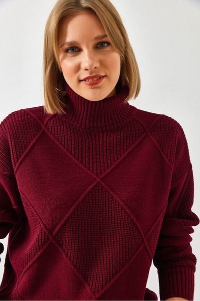 Bianco Lucci Women's Turtleneck Knitwear Sweater 20246916