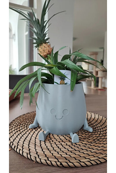 DESIGNBY Decorative Flower Pot with Smiling Face Pattern - Happy Face Smiling...