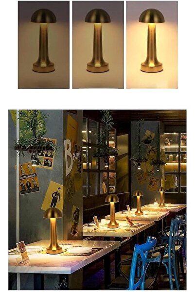 Cata Dekoratif Masa Lambası Dimmerli Şarjlı Lizbon Masa Lambası 3 Renk Işık M...