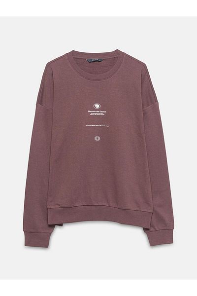 LC Waikiki Ανδρικό χοντρό φούτερ με στάμπα LCW Casual Standard Fit Crew Neck