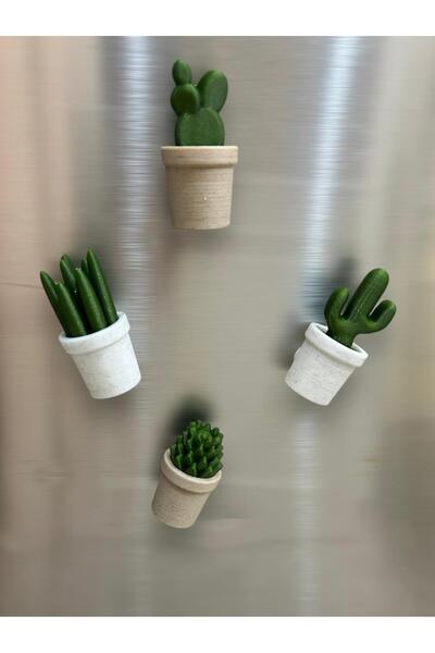 Aloha Design Kaktüs Magnet 4’lü - Karışık Renkli Buzdolabı Magnet Seti - Kakt...