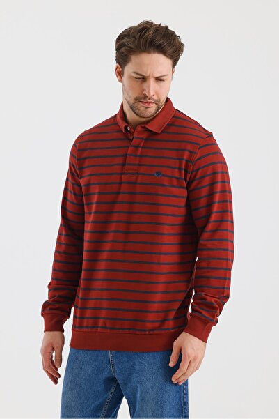 ALEXANDERGARDI Polo Collar Stripes Regular Fit Sweatshirt (Wk25214)
