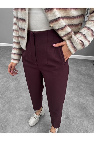 ESRAHELVACI Plum High Waist Carrot Trousers