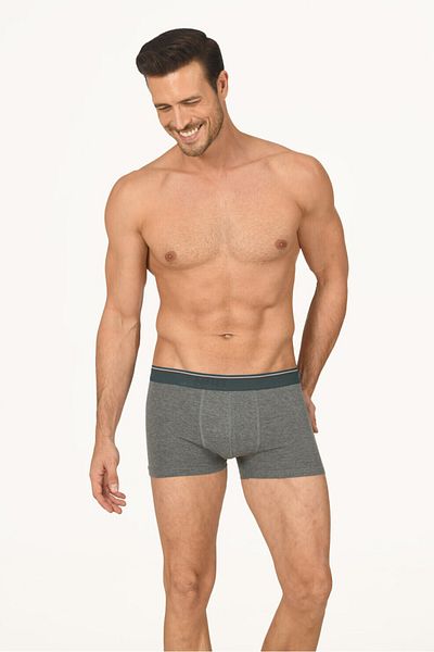 NBB Men's Boxers 737