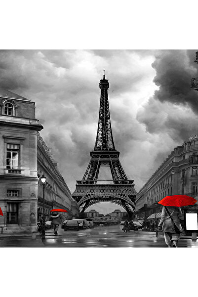 dreamwall Siyah Beyaz Paris Eyfel Kulesi Desenli Silinebilir Kumaş Duvar Kağıdı - En X Boy