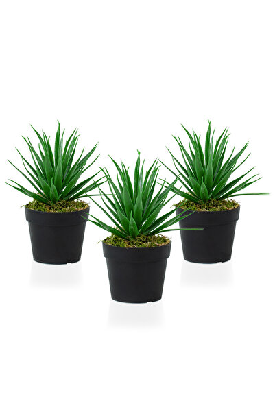 Çiçekmisin 3 Adet Siyah Mini Plastik Saksıda Yapay Aloe Vera Çiçeği