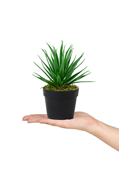 Çiçekmisin Yapay Aloe Vera Çiçeği