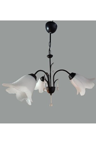 Aydınlatma Dünyam Promosyon 3lü Siyah Damla Taş Avize