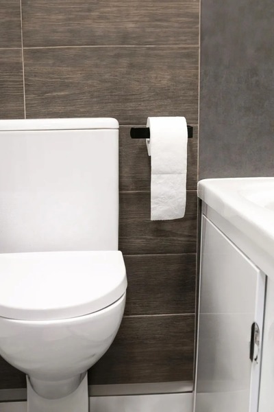 DeYiDo Kaliteli Paslanmaz Çelik Tuvalet Kağıtlığı, Peçetelik -Banyo Lavabo Mutfak Dekoratif Çok Amaçlı Askı