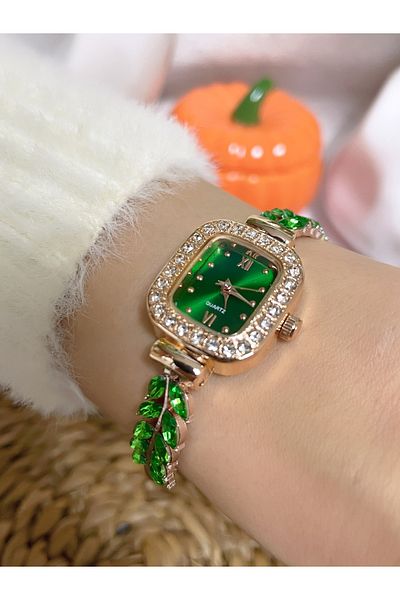 Bimodabu Zircon Stone Model Women's Wristwatch