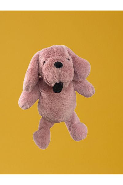 Galen Shabby Cut Dog