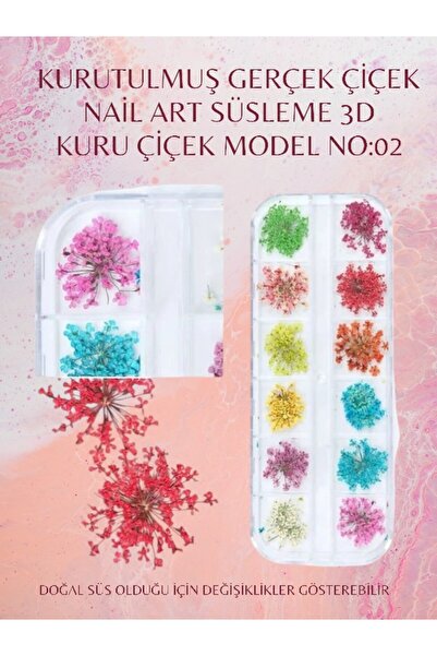 TNL TIRNAK SÜSLEME KURUTULMUŞ GERÇEK ÇİÇEK 12 Lİ KUTU NO:2