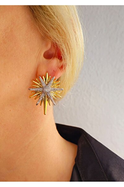 staınless steel Vip Zirkon Taş Detay Küpe