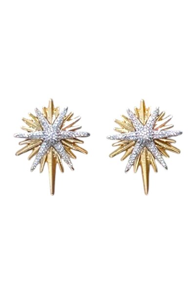 staınless steel Vip Zirkon Taş Detay Küpe