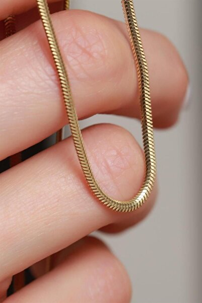 Ricco Jewellery 14 K Gold Kaplama 925 Ayar Gümüş Balık Sırtı Choker Kolye