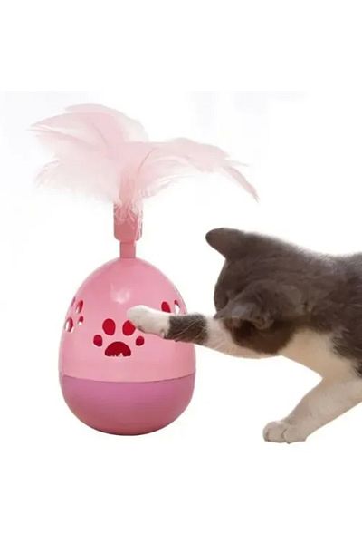 TTT Paw Patterned Feather Pilgrim Non-Lying Toy