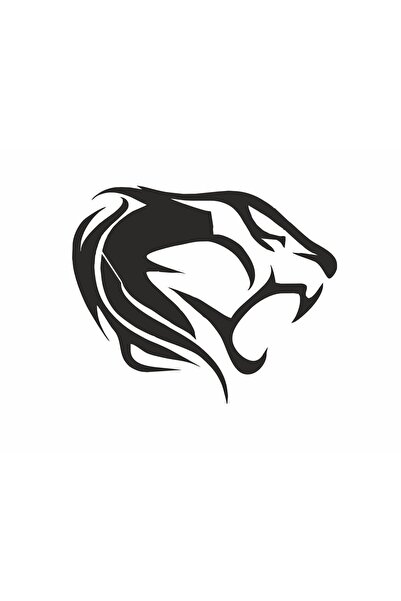 3M Aslann Sticker - Car with Vehicle Sticker