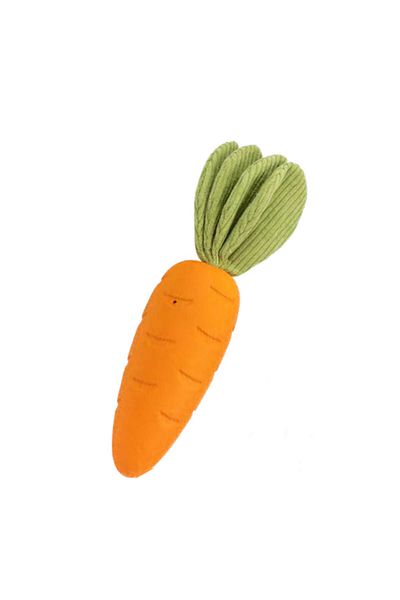 Pawise My Carrot Rubber Toy Dpmah