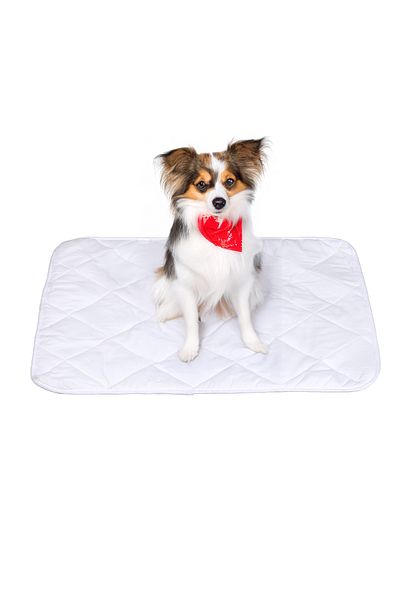 Denizli Alez Washable Quilted Liquid Proof Cat and Dog Pee Pad