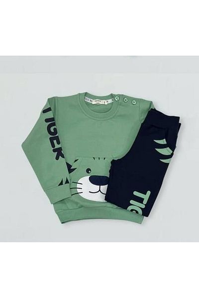 Breeze Embroidered Tiger Boy Tracksuit Set