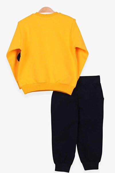 Breeze Embroidered Tiger Boy Tracksuit Set