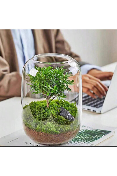 Generic Aquarium Terrarium glass tank 16x18 gray