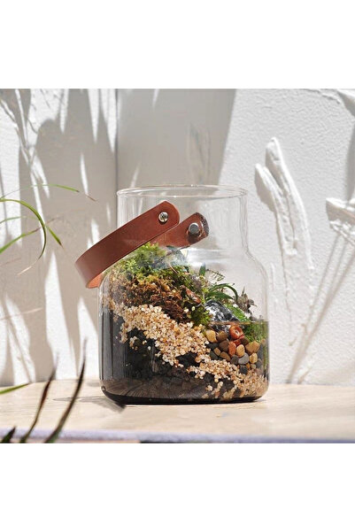 Generic Aquarium terrarium glass tank 71x47x61