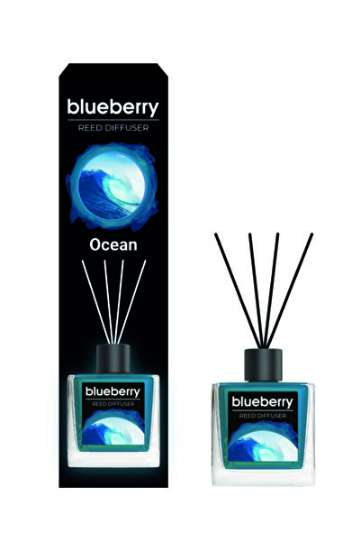 Blueberry Ocean Oda Kokusu  100 ml BBCN000706