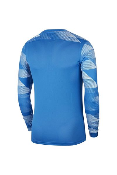 Nike Dri-fit Park Iv Goalkeeper Children's Goalkeeper Jersey Cj6072-463