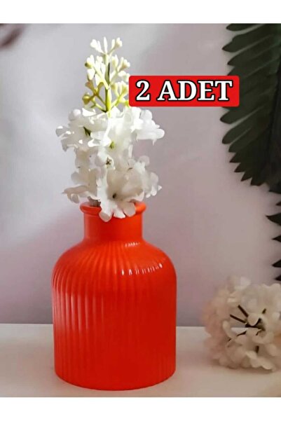 E.M.S AVM 2 Adet Vazo Çizgili Vazo Pampas Vazosu Yapay Ve Kuru Çiçek Vazosu T...