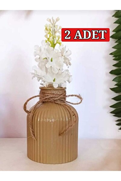 E.M.S AVM 2 Adet Vazo Çizgili Vazo Pampas Vazosu Yapay Ve Kuru Çiçek Vazosu K...