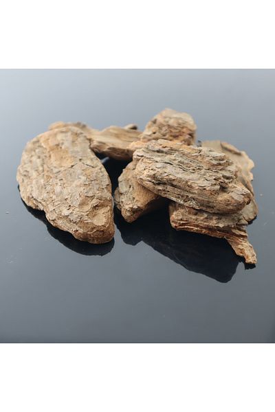 Generic Pine bark pieces for planters and terrariums