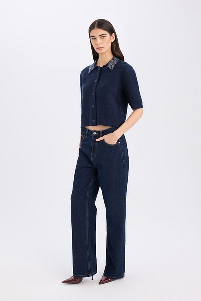 DeFacto Polo Neck Regular Fit Knitwear Cardigan - Flat Buttons E2288Ax24Wn