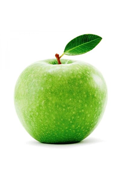 atlas fidan peyzaj Granny Smith Elma Fidanı Aşılı ( Tüplü \ 80-100 Cm )