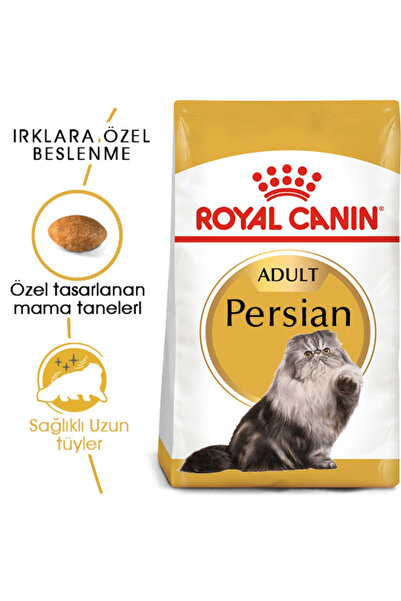 Royal Canin RoyalCanin Persian Adult Cat Food İran Kedisine Özel Yetişkin Ked...