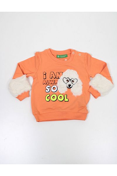 CİCHLİD Baby Girl Sweatshirt