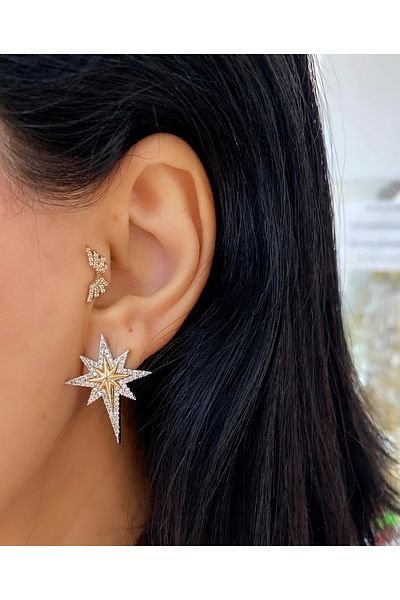 Manu Collection Women's Steel Silver Gold Stone North Star Earrings