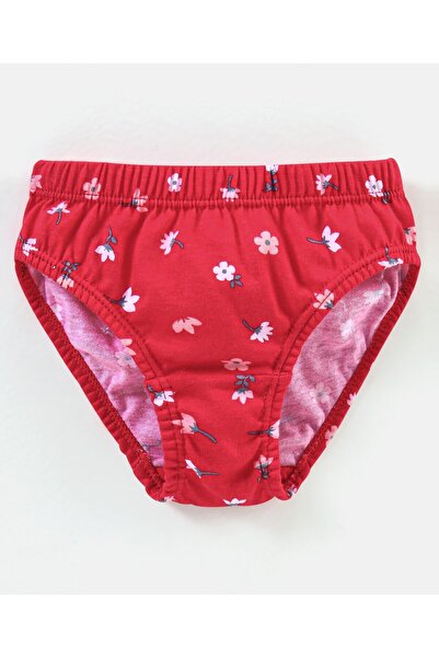 Babyhug 100% Cotton Panties Stripes & Floral Print Pack of 3- Pink & Red