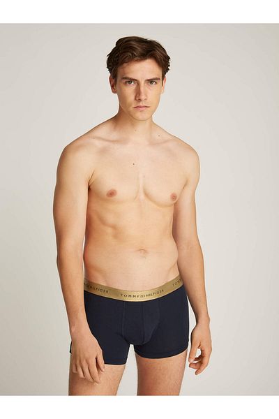 Tommy Hilfiger Tommy Hilfiger Black Solid Men Pack of 3 Trunk