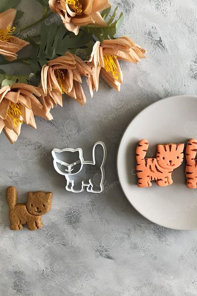CESTOPİENO Cat Cookie Mold 8X8 cm