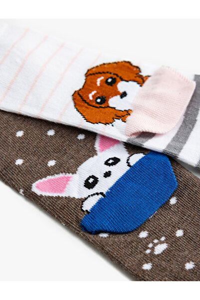 Koton Colorful Dog Patterned 2-Piece Socks Set