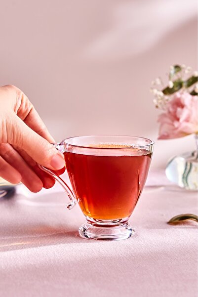 Karaca Maya Akrilik Çay Fincanı 220 ml