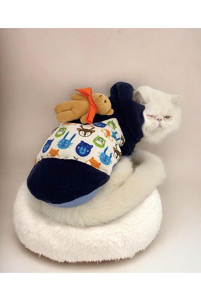 Kemique Cat Teddy Roo Hooded Cat Sweatshirt (2X_Large 6.5 - 9 Kg)