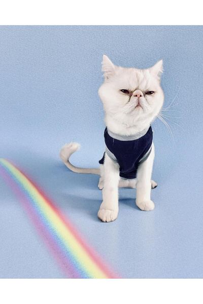 Kemique Cat Navy Sports Athlete Cat Outfit (Small / 1 - 1.5 kg)