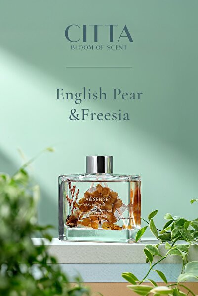 CITTA Bloom of Scent | Dream Serisi | English Pear & Fressia Block Oda Kokusu...