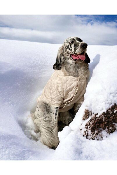 Kemique Cream Comfly Köpek Montu, Orta ve Büyük Irklar için