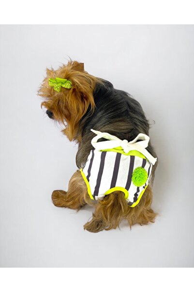 Kemique Lime Fuzz Kemique's Secret Köpek İç Çamaşırı Regl Külot Don