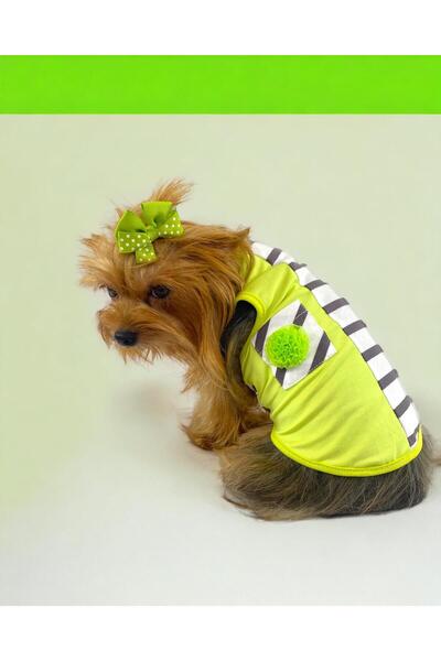 Kemique فستان للكلاب من Lime Fuzz Athlete