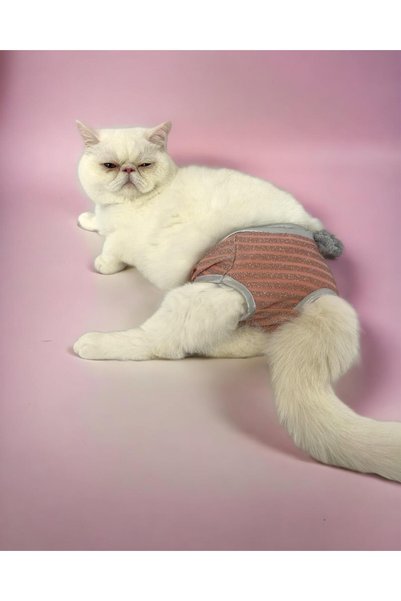 Kemique Pink Shine Kemique's Secret Kedi İç Çamaşırı Regl Külot Don